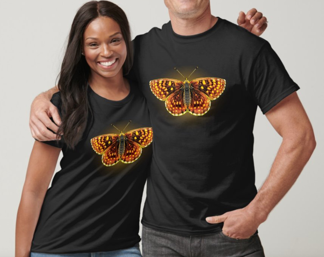 Morning Cloke butterfly